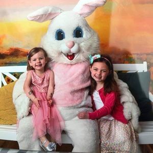 Meet your Posher, Paul